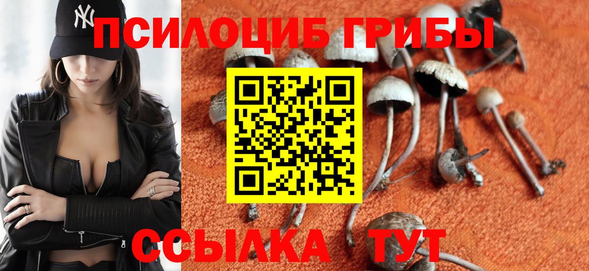 Псилоцибиновые грибы Psilocybe  Вход с VPN  Шадринск 