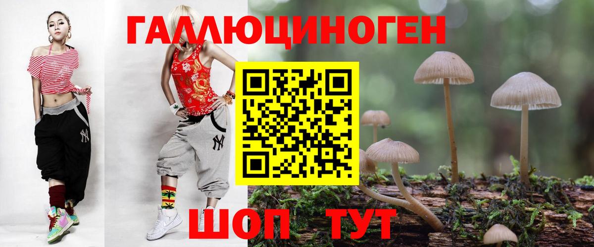 Галлюциногенные грибы Psilocybine cubensis Шадринск
